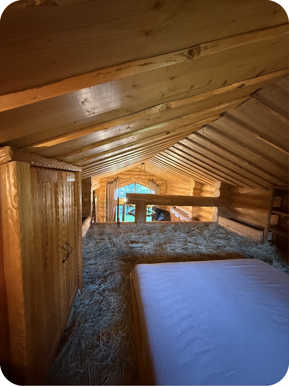 Ліжко на сіні